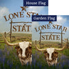 Texas Flag Sets