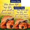 Daisies Flag Sets