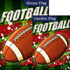 NFL Football Flag Sets