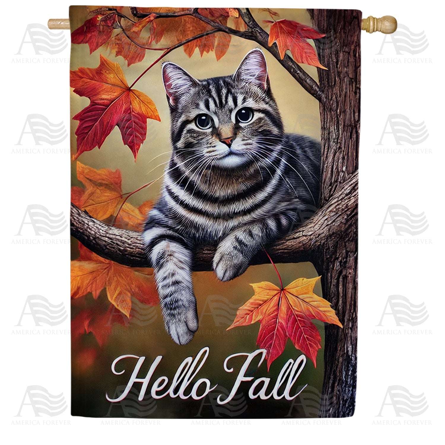 Hello Fall Tabby Cat Double Sided House Flag