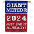 Giant Meteor 2024 Double Sided House Flag