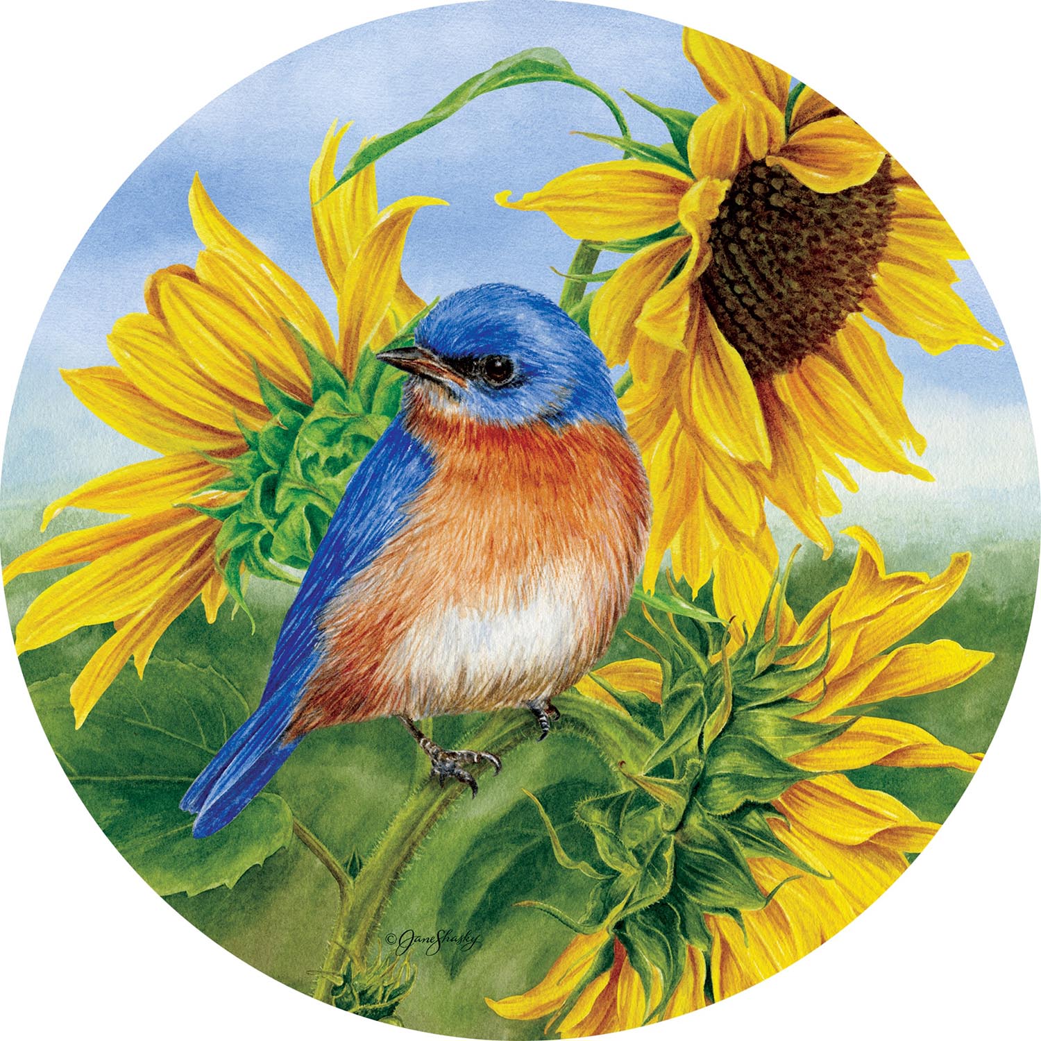 Bluebird Sunflowers Accent Magnet