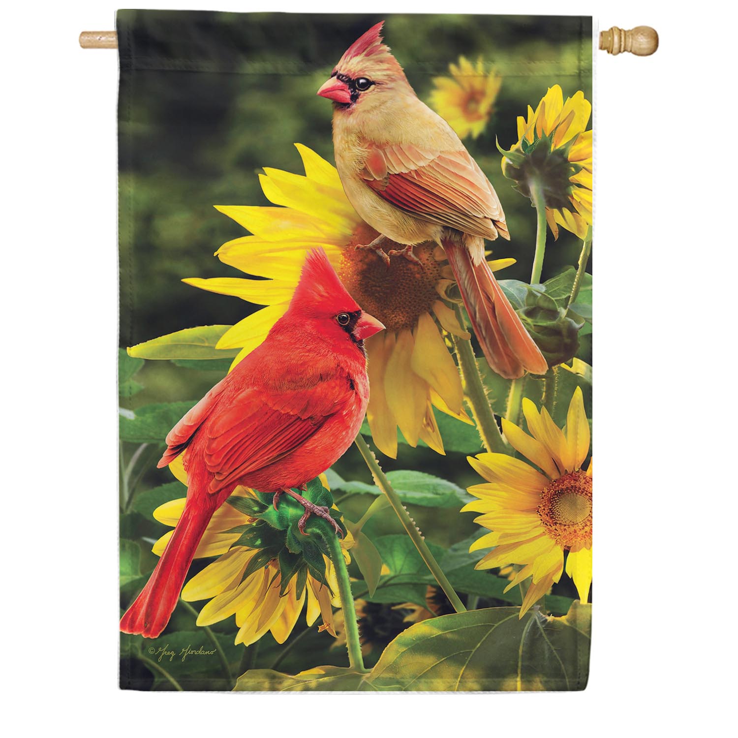 Cardinals Double Sided House Flag