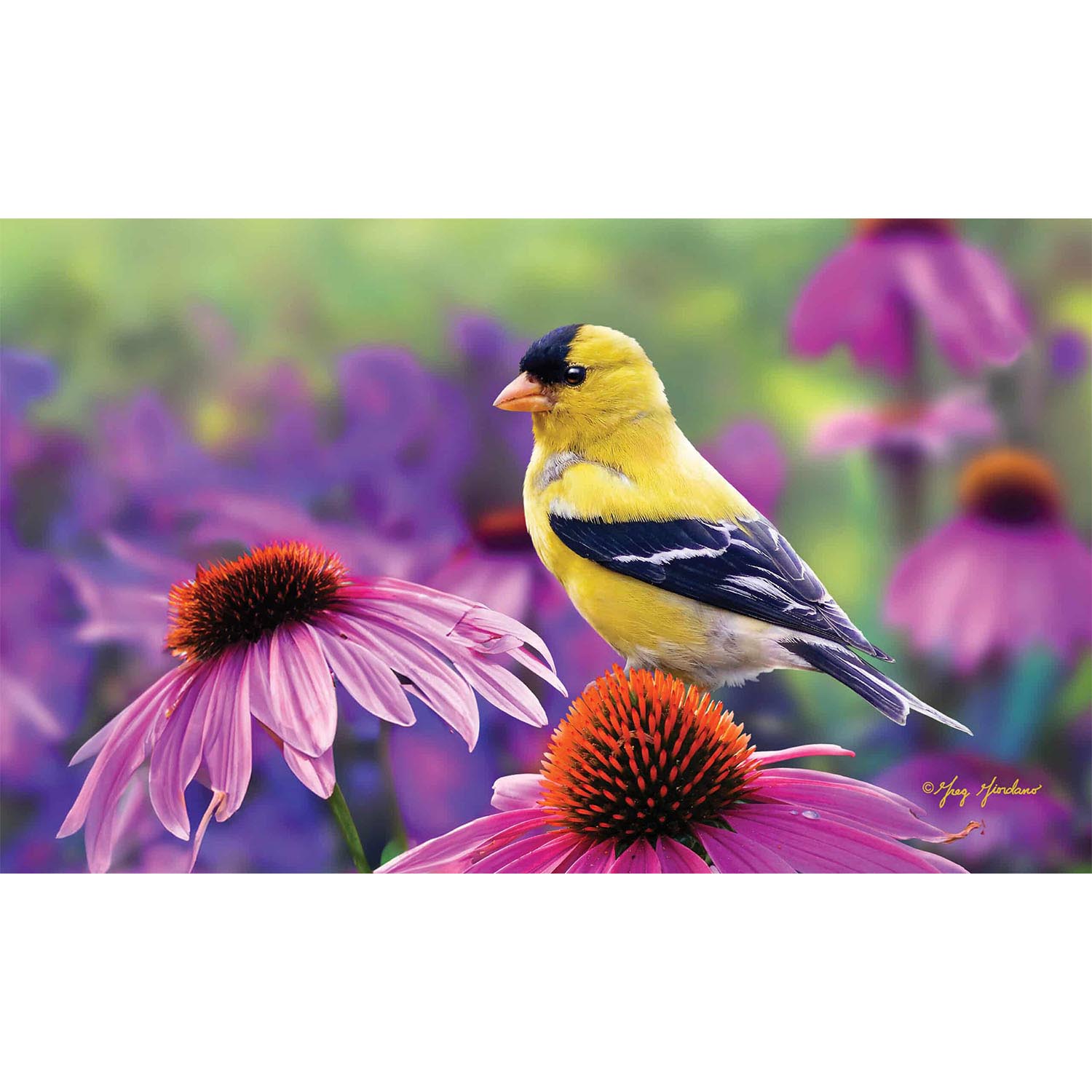 Goldfinch Glory Mat