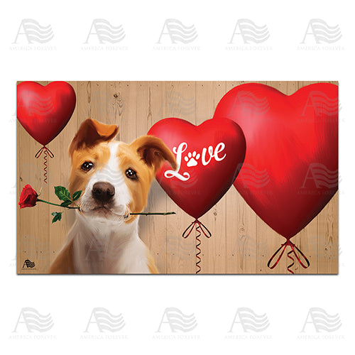 Valentine Door Mat Heart & Flowers 18X30 Inch Front Porch Rug Farmhous –  Fleek Signs